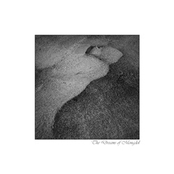 dailyPhoto21
